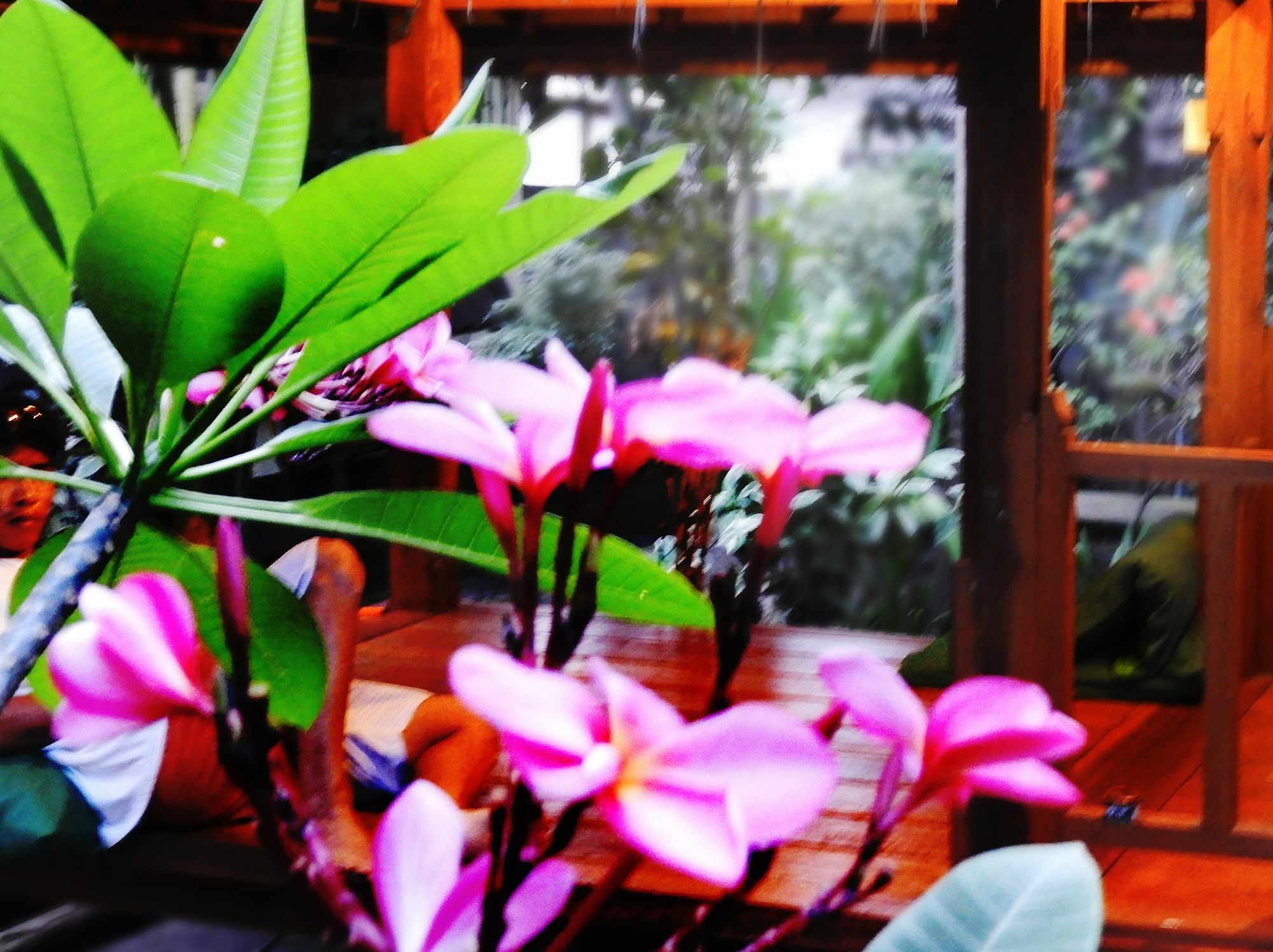 Toro Toro Bungalow กิลิไอร์ ภายนอก รูปภาพ